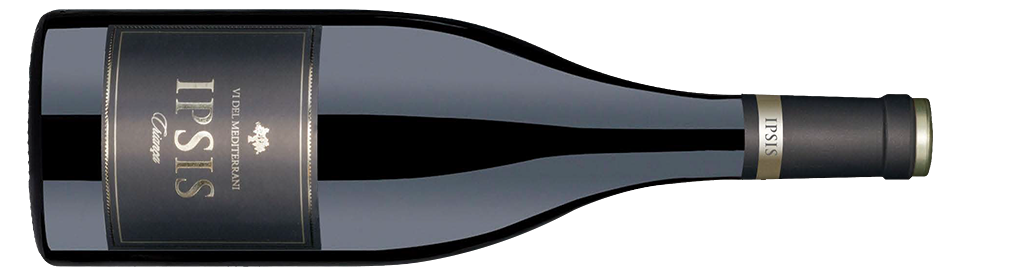 Ipsis Negre Criança